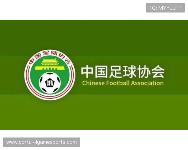 云南玉昆预算高达3亿元人民币，引进徐新韦世豪等国脚级内援提升实力